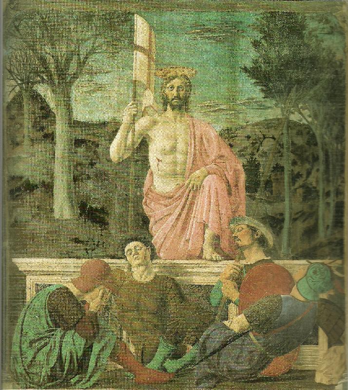 Piero della Francesca sansepolcro, museo civico china oil painting image